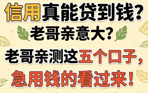 纯靠信用真能贷到钱?老哥亲测这五个口子,急用钱的看过来!