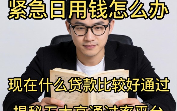 手头紧急需用钱怎么办？现在什么贷款比较好通过？揭秘五大高通过率平台