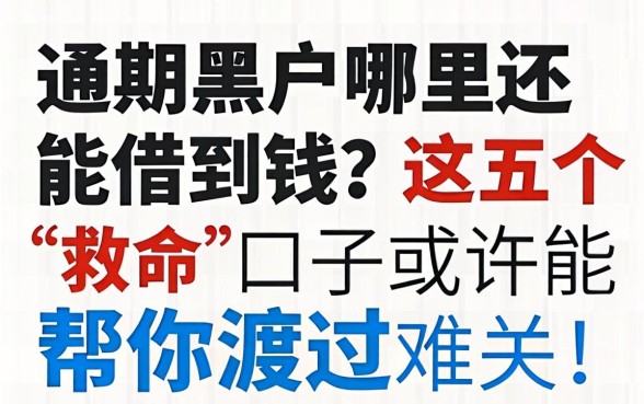 逾期黑户哪里还能借到钱？这五个“救命”口子或许能帮你渡过难关！