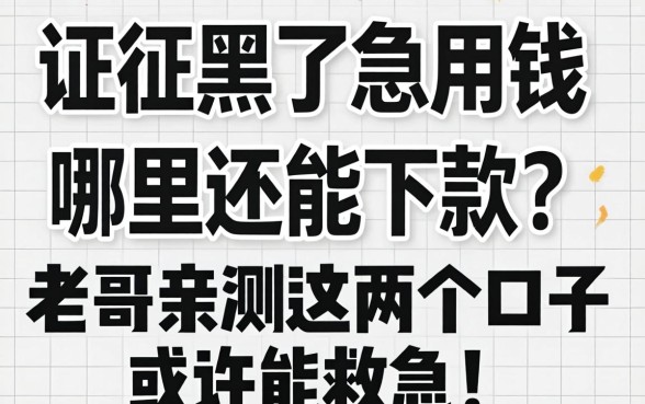 征信黑了急用钱哪里还能下款？老哥亲测这几个口子或许能救急！