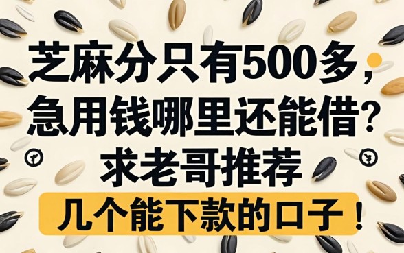 芝麻分只有500多，急用钱哪里还能借？求老哥推荐几个能下款的口子！