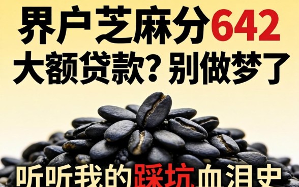 黑户芝麻分642大额贷款?别做梦了,听听我的踩坑血泪史