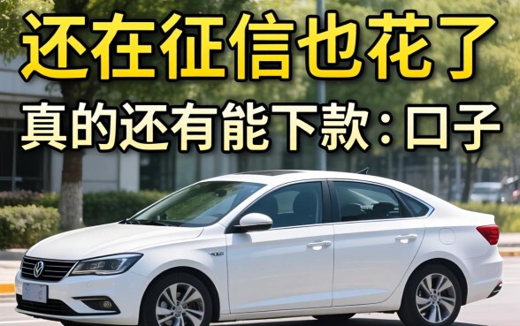 车子还在还贷中，征信也花了，真的还有能下款的口子吗？