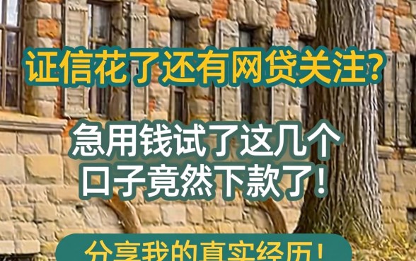 征信花了还有网贷关注?急用钱试了这几个口子竟然下款了,分享我的真实经历!