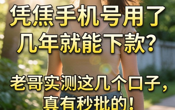 听说光凭手机号用了几年就能下款?老哥实测这几个口子,真有秒批的!