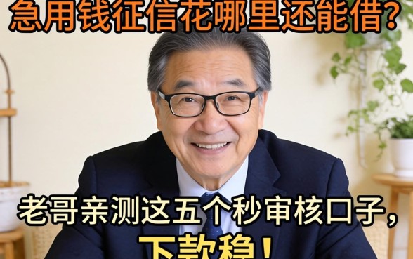 急用钱征信花哪里还能借？老哥亲测这五个秒审核口子，下款稳！