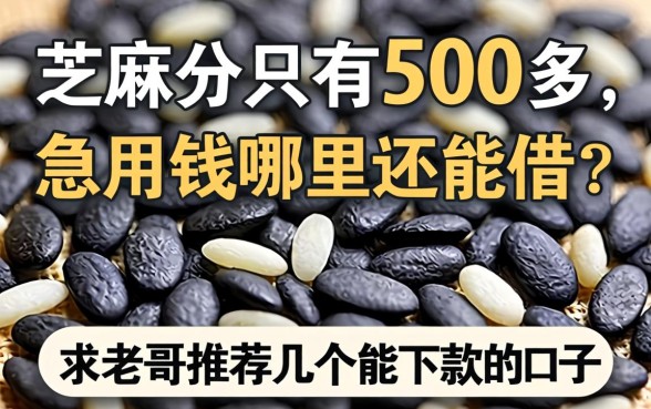 芝麻分只有500多，急用钱哪里还能借？求老哥推荐几个能下款的口子！