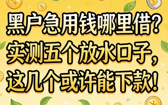 黑户急用钱哪里借？实测五个放水口子，这几个或许能下款！