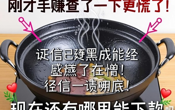 征信已经黑成锅底了，刚才手贱查了一下更慌了，现在还有哪里能下款吗？