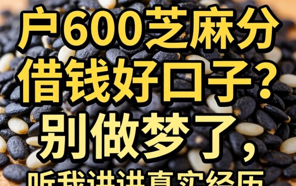 黑户600芝麻分借钱好口子?别做梦了,听我讲讲真实经历