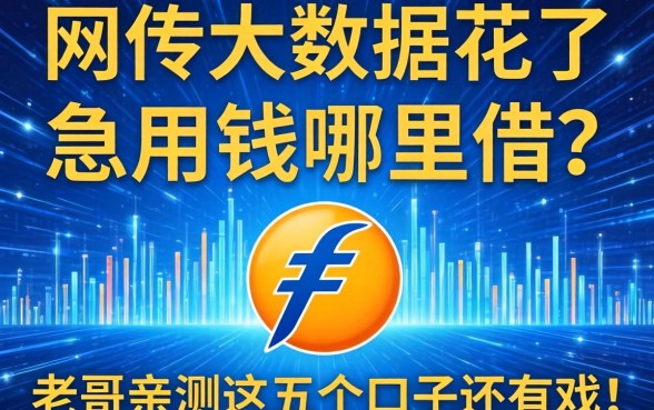 网贷大数据花了急用钱哪里借?老哥亲测这五个口子还有戏!