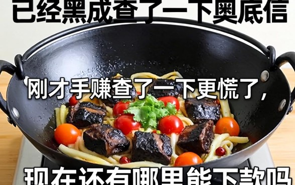 征信已经黑成锅底了，刚才手贱查了一下更慌了，现在还有哪里能下款吗？