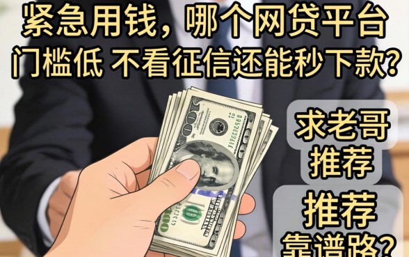 手头紧急用钱,哪个网贷平台门槛低、不看征信还能秒下款?求老哥推荐靠谱路子!