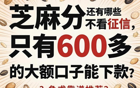 芝麻分只有600多,还有哪些不看征信的大额口子能下款?急求靠谱推荐!