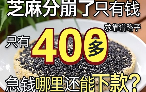 芝麻分崩了只有400多，急用钱哪里还能下款？求靠谱路子！