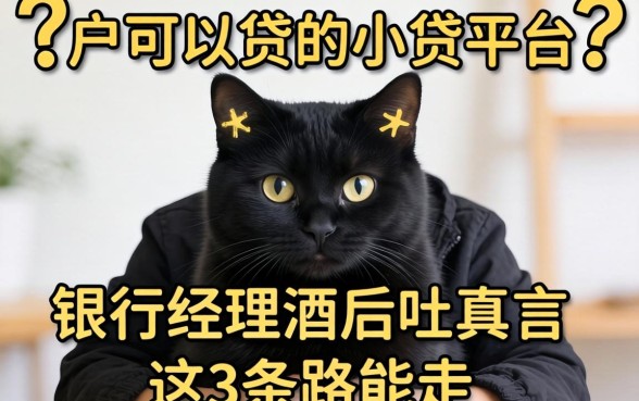 黑户可以贷的小贷平台?银行经理酒后吐真言,这3条路能走