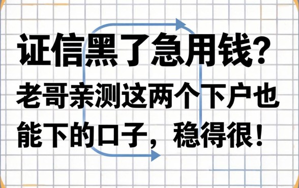 征信黑了急用钱？老哥亲测这几个下户也能下的口子，稳得很！