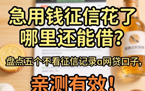 急用钱征信花了哪里还能借？盘点五个不看征信记录的网贷口子，亲测有效！