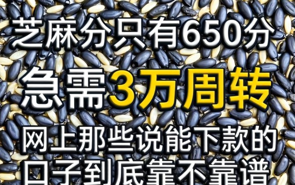 芝麻分只有650分,急需3万周转,网上那些说能下款的口子到底靠不靠谱?