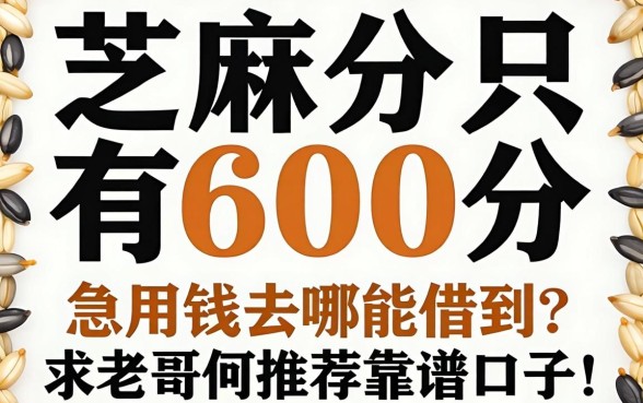 芝麻分只有600分，急用钱去哪能借到？求老哥们推荐靠谱口子！
