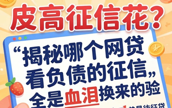 负债高征信花?揭秘哪个网贷不看负债的征信,全是血泪换来的经验
