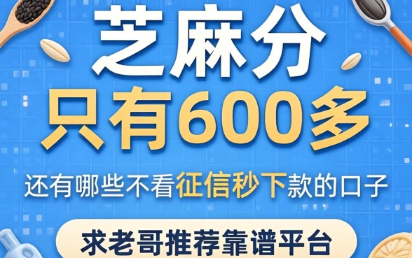 芝麻分只有600多，还有哪些不看征信秒下款的口子？求老哥推荐靠谱平台！