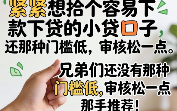 手头紧想找个容易下款的小贷口子,兄弟们有没有那种门槛低、审核松一点的推荐?