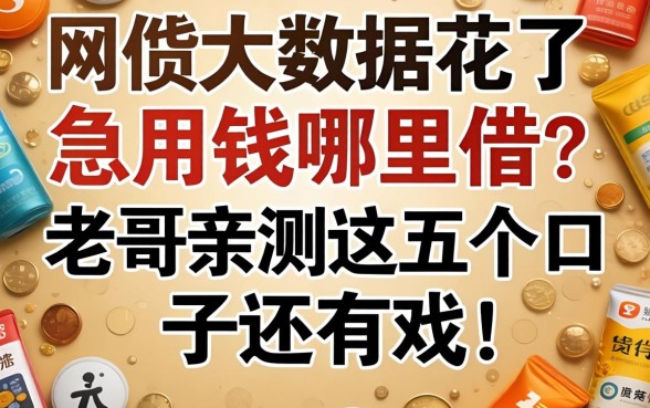 网贷大数据花了急用钱哪里借?老哥亲测这五个口子还有戏!