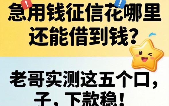 急用钱征信花哪里还能借到钱？老哥实测这五个口子，下款稳！