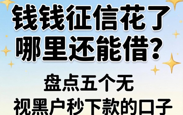 急需用钱征信花了哪里还能借?盘点五个无视黑户秒下款的口子