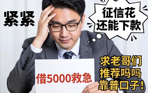 手头紧想借5000救急，征信花还能下款吗？求老哥们推荐靠谱口子！