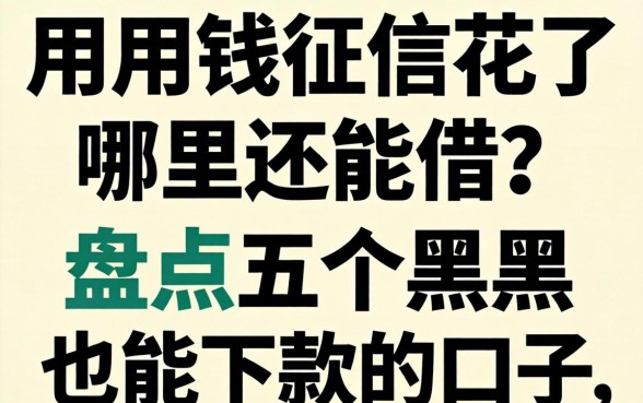 急用钱征信花了哪里还能借？盘点五个黑户也能下款的口子_1