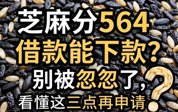 芝麻分564借款能下款？别被忽悠了，看懂这三点再申请