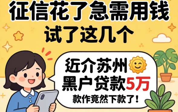 我征信花了急需用钱,试了这几个苏州黑户贷款5万的软件竟然下款了