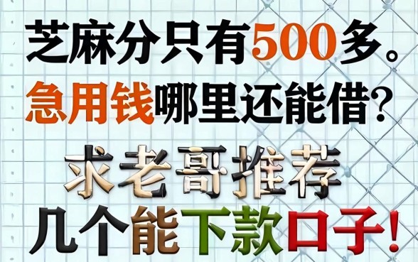 芝麻分只有500多，急用钱哪里还能借？求老哥推荐几个能下款的口子！