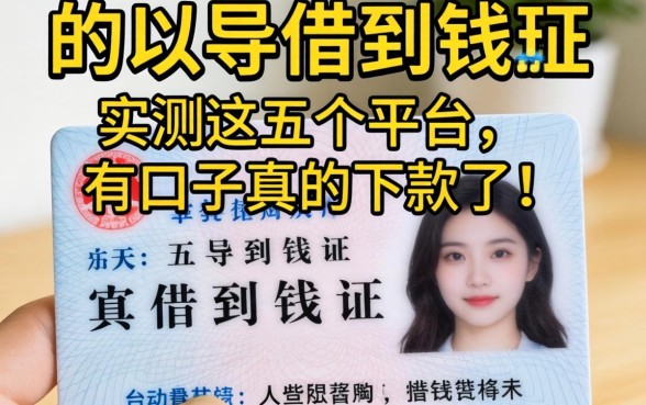 只有一张身份证能借到钱吗？实测这五个平台，有口子真的下款了！