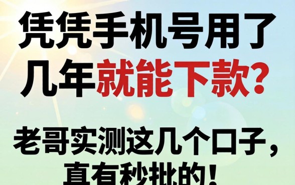 听说光凭手机号用了几年就能下款?老哥实测这几个口子,真有秒批的!