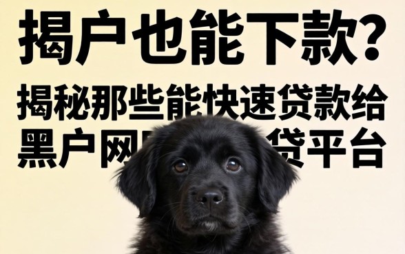 黑户也能下款？揭秘那些能快速贷款给黑户的网贷平台真相