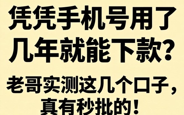听说光凭手机号用了几年就能下款?老哥实测这几个口子,真有秒批的!