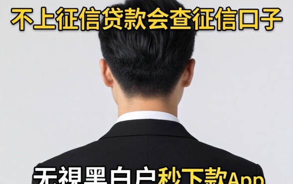 我试了那些不上征信贷款会查征信的口子,发现无视黑白户秒下款app背后的真相并不简单