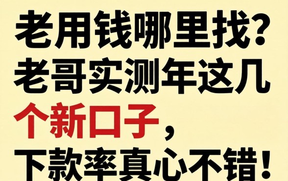 急用钱哪里找？老哥实测2026年这几个新口子，下款率真心不错！