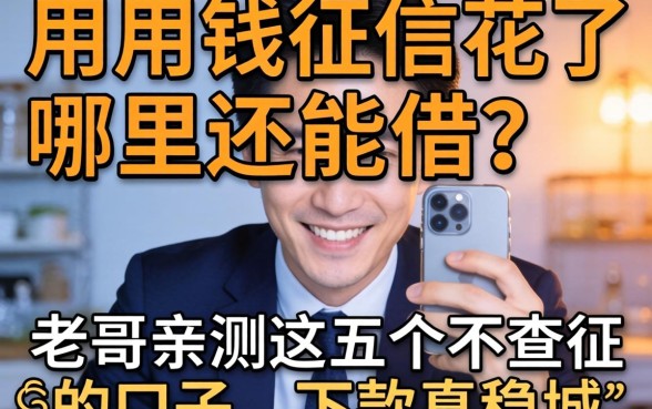 急用钱征信花了哪里还能借？老哥亲测这五个不查征信的口子，下款真稳！