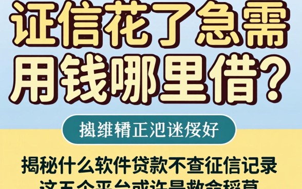 征信花了急需用钱哪里借？揭秘什么软件贷款不查征信记录，这五个平台或许是救命稻草