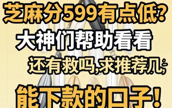 芝麻分599有点低?大神们帮忙看看还有救吗,求推荐几个能下款的口子!
