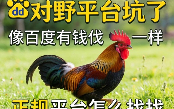 别被野鸡平台坑了，像百度有钱花一样的正规平台怎么找？