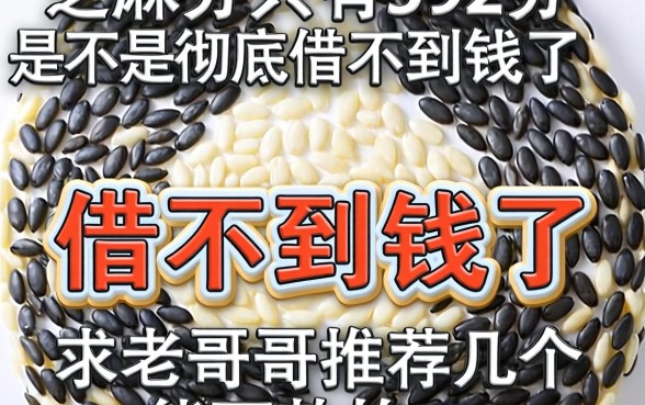 芝麻分只有592分，是不是彻底借不到钱了？求老哥们推荐几个能下款的口子！