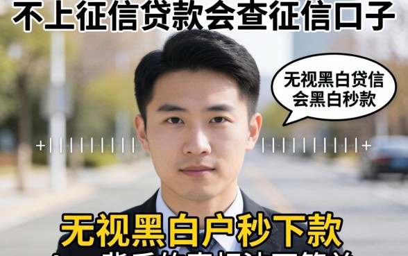 我试了那些不上征信贷款会查征信的口子,发现无视黑白户秒下款app背后的真相并不简单