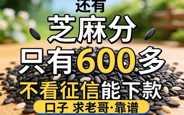芝麻分只有600多,还有哪些不看征信能下款的口子?求老哥推荐几个靠谱的!