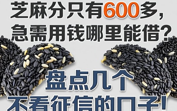 芝麻分只有600多，急需用钱哪里能借？盘点几个不看征信的口子！