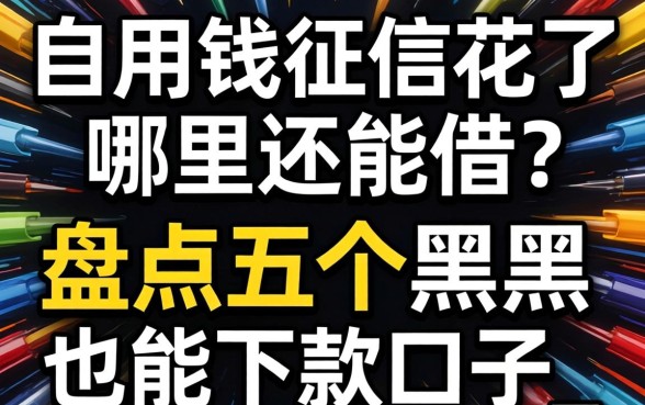 急用钱征信花了哪里还能借？盘点五个黑户也能下款的口子_1